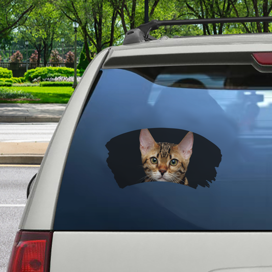 Misty Morning - Autocollant de voiture pour fenêtre de chat du Bengale V1