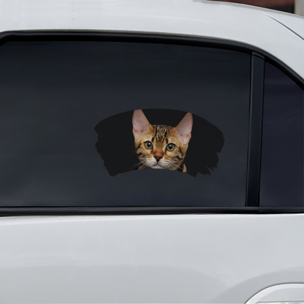 Misty Morning - Bengal Cat Window Car Decal V1