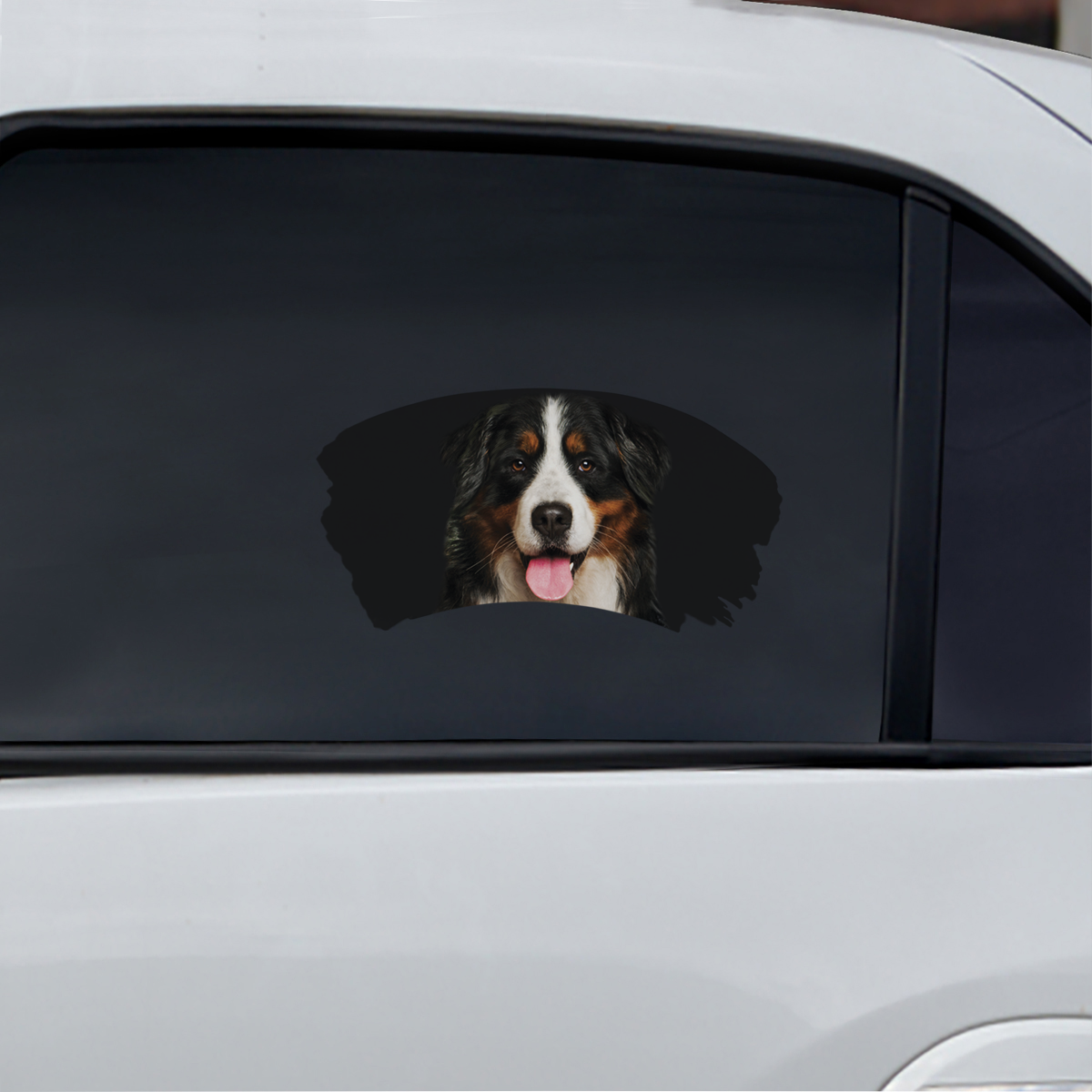 Misty Morning - Bernese Mountain Window Car Decal V1