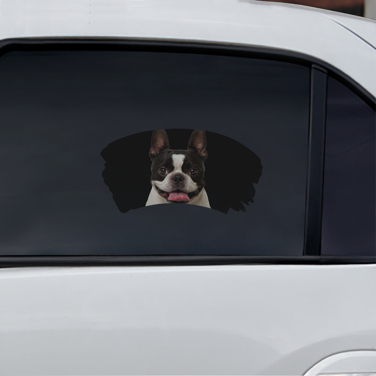Misty Morning - Boston Terrier Window Car Decal V1