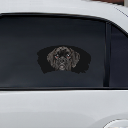 Misty Morning - Boxer Window Car Decal V3