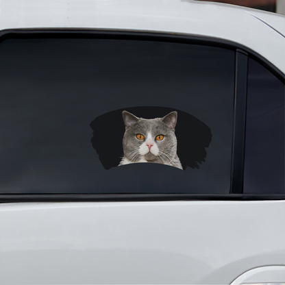 Misty Morning - Autocollant de voiture pour fenêtre de chat British Shorthair V1