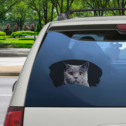 Misty Morning - Autocollant de voiture pour fenêtre de chat British Shorthair V2