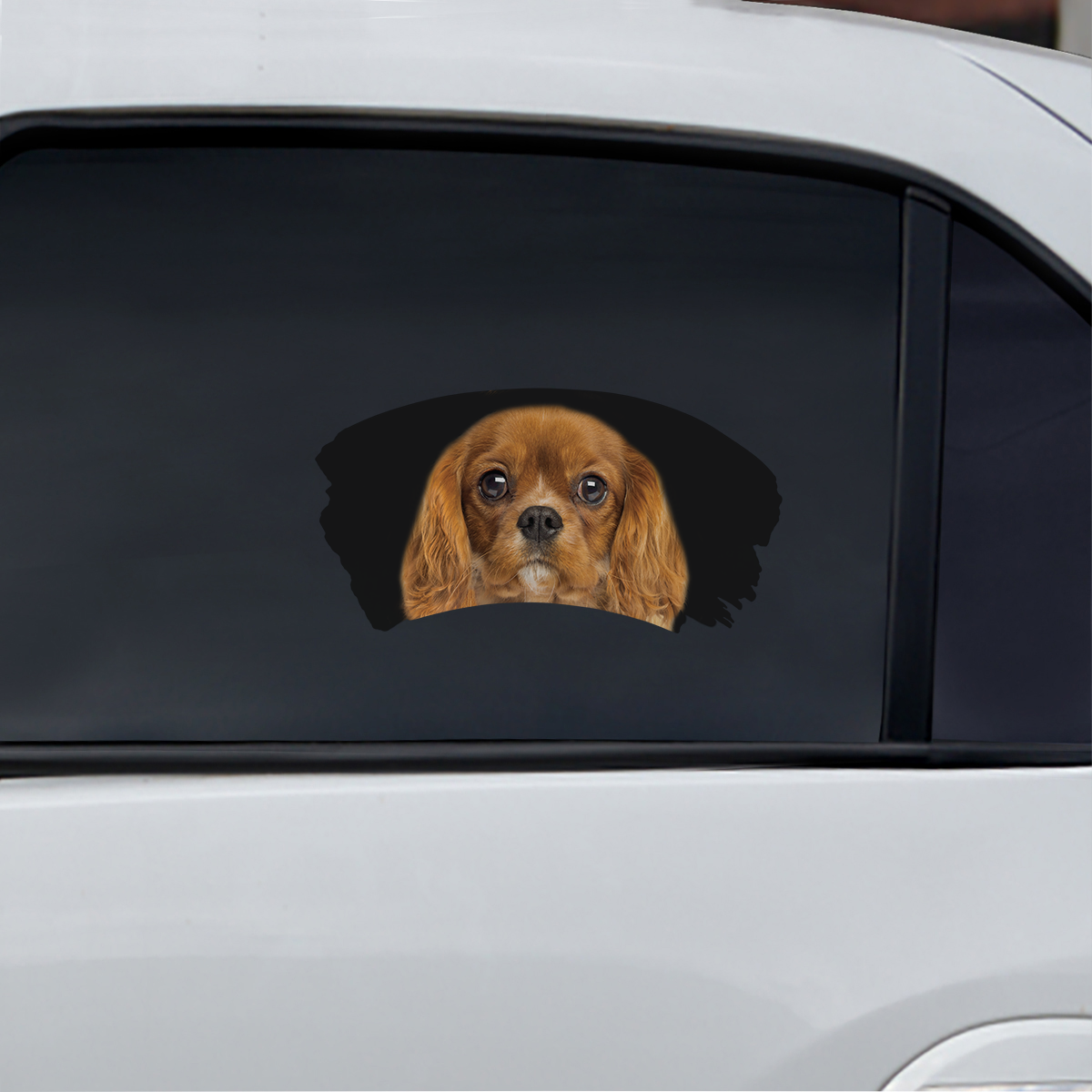 Misty Morning - Cavalier King Charles Spaniel Window Car Decal V3