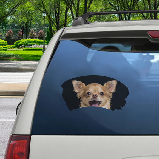 Misty Morning – Chihuahua-Fenster-Autoaufkleber V3
