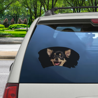 Misty Morning – Chihuahua-Fenster-Autoaufkleber V5