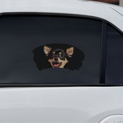 Misty Morning – Chihuahua-Fenster-Autoaufkleber V5