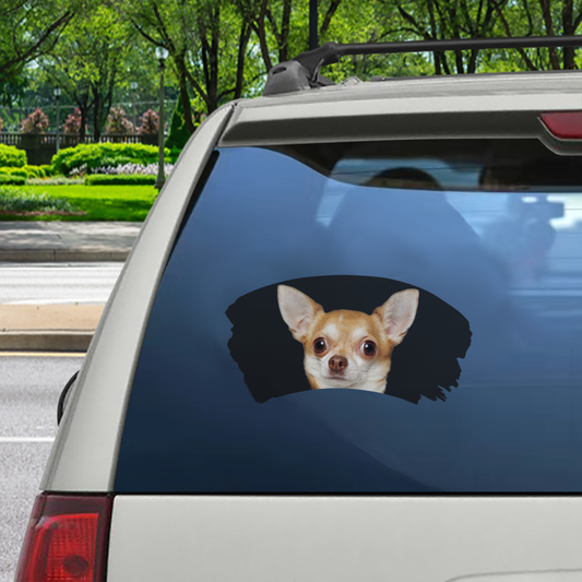 Misty Morning - Autocollant de voiture pour fenêtre Chihuahua V6
