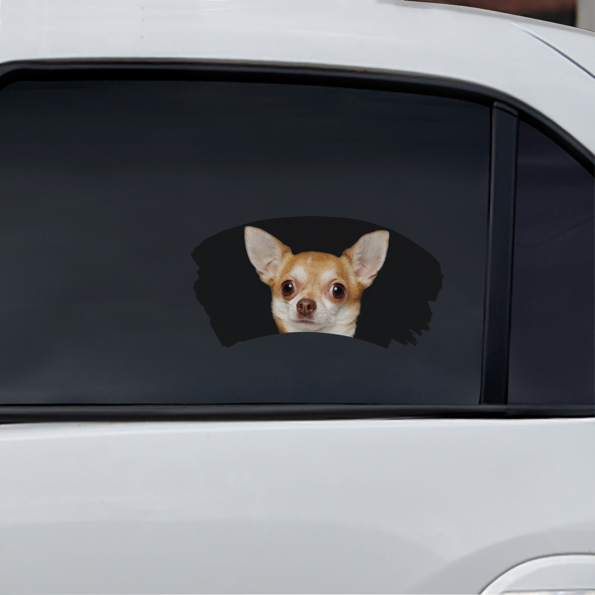 Misty Morning – Chihuahua-Fenster-Autoaufkleber V6