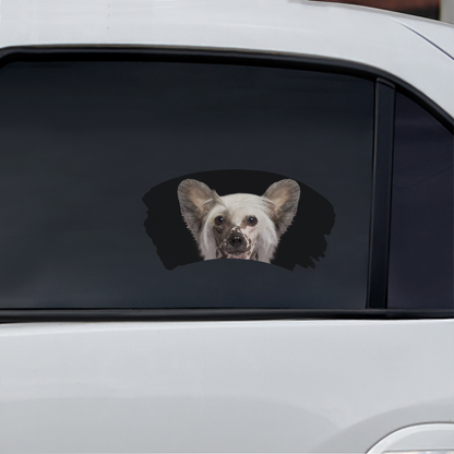Misty Morning - Chinese Crested Window Car Decal V1
