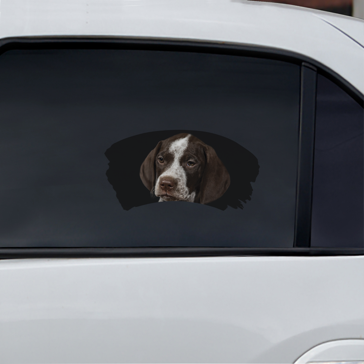 Misty Morning - German Shorthaired Pointer Window Car Decal V1