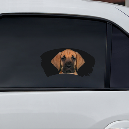 Misty Morning - Great Dane Window Car Decal V1