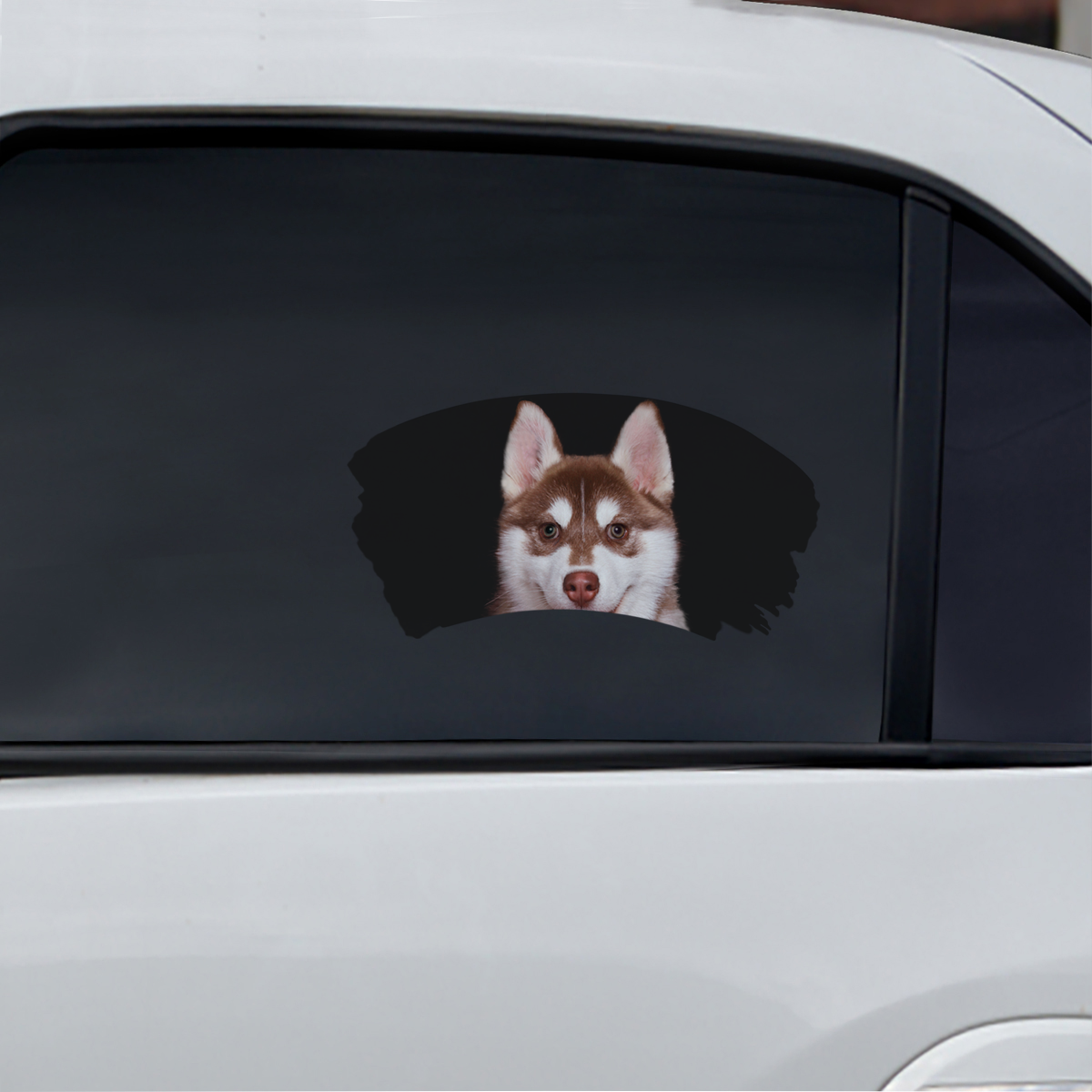 Misty Morning - Husky Window Car Decal V1