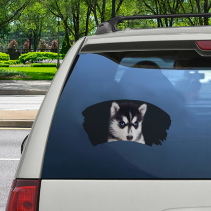 Misty Morning - Husky Window Car Decal V2