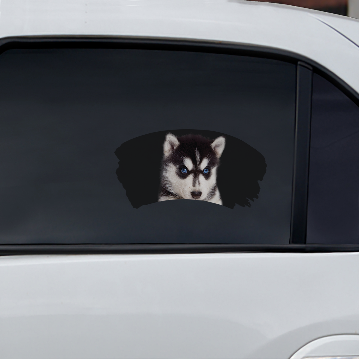 Misty Morning - Husky Window Car Decal V2