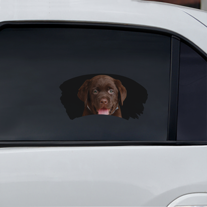 Misty Morning - Autocollant de voiture pour fenêtre du Labrador V1