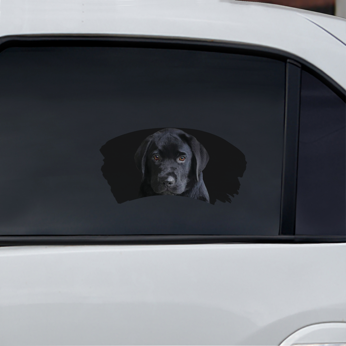 Misty Morning - Autocollant de voiture pour fenêtre du Labrador V3