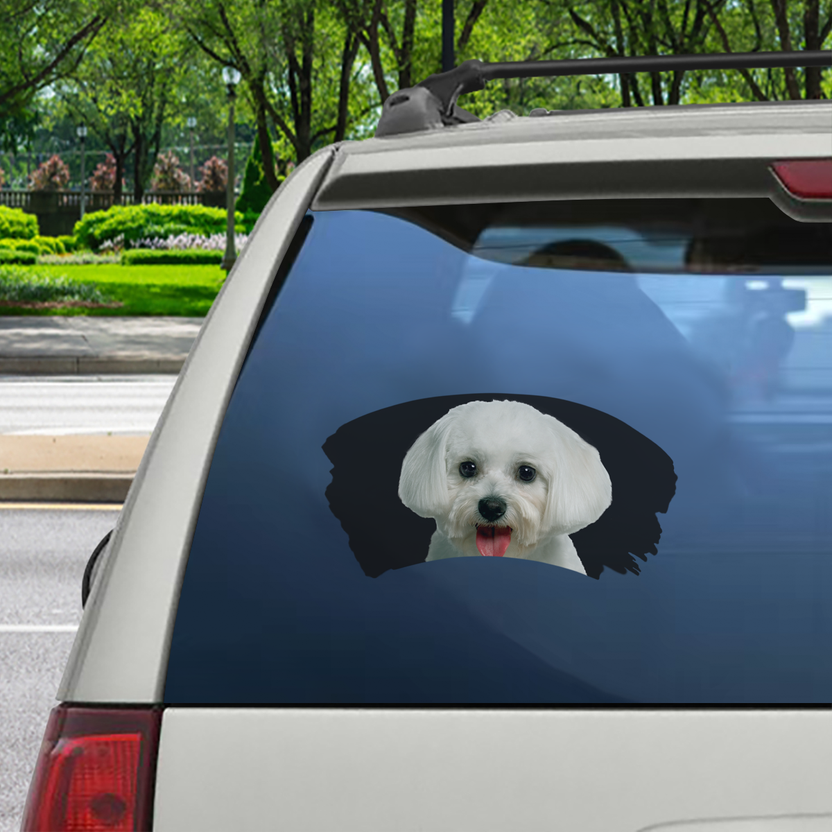 Misty Morning - Maltese Window Car Decal V1