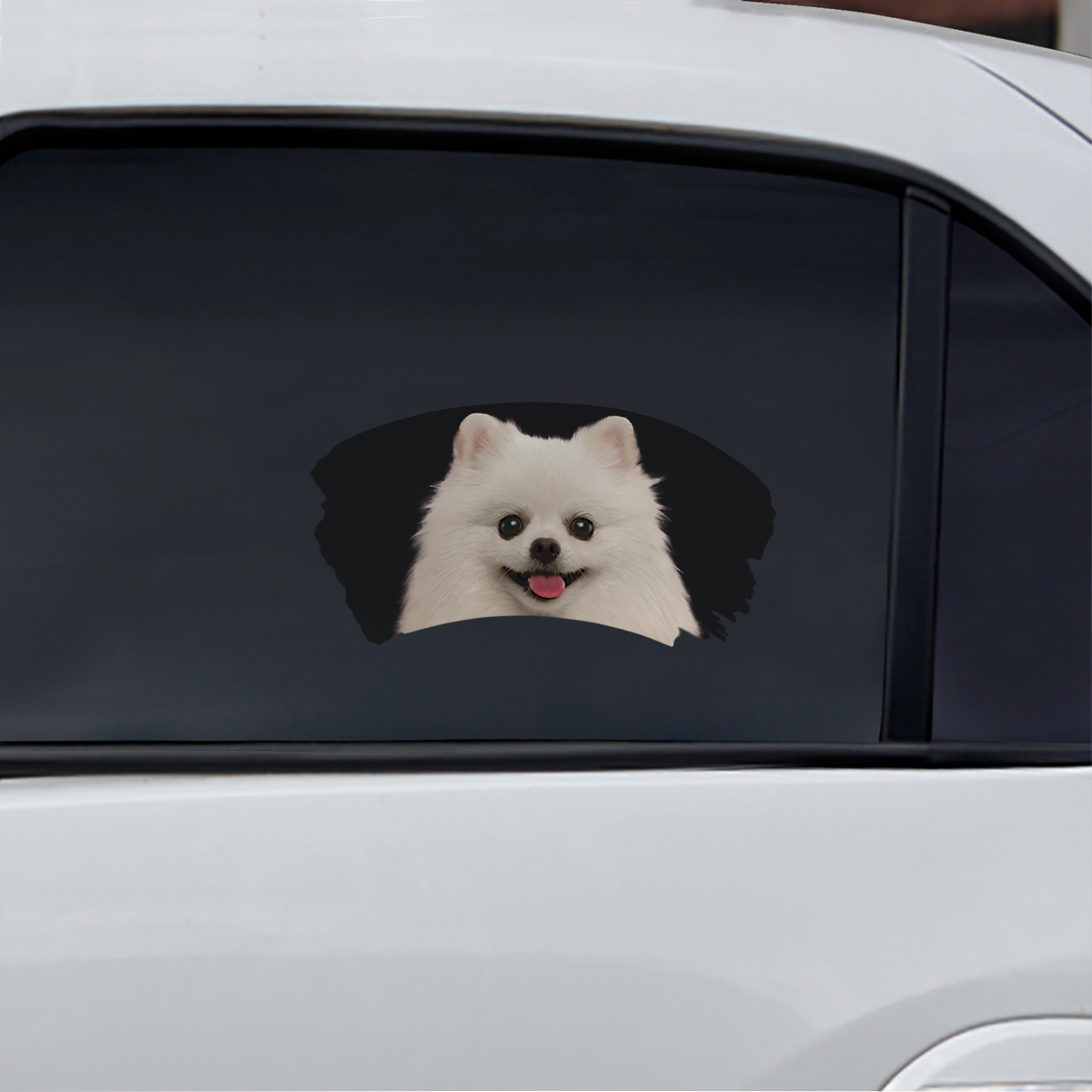 Misty Morning - Pomeranian Window Car Decal V1