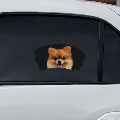 Misty Morning - Pomeranian Window Car Decal V2