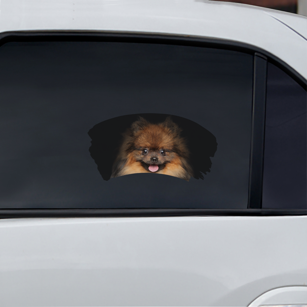 Misty Morning - Pomeranian Window Car Decal V3
