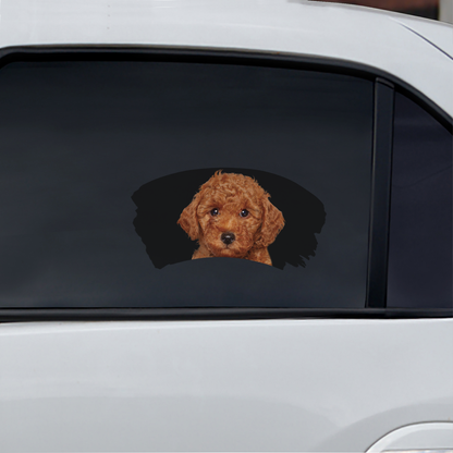 Misty Morning - Poodle Window Car Decal V1