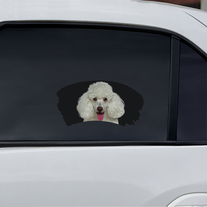 Misty Morning - Poodle Window Car Decal V2
