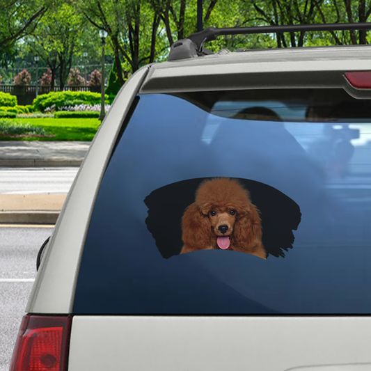 Misty Morning - Poodle Window Car Decal V3