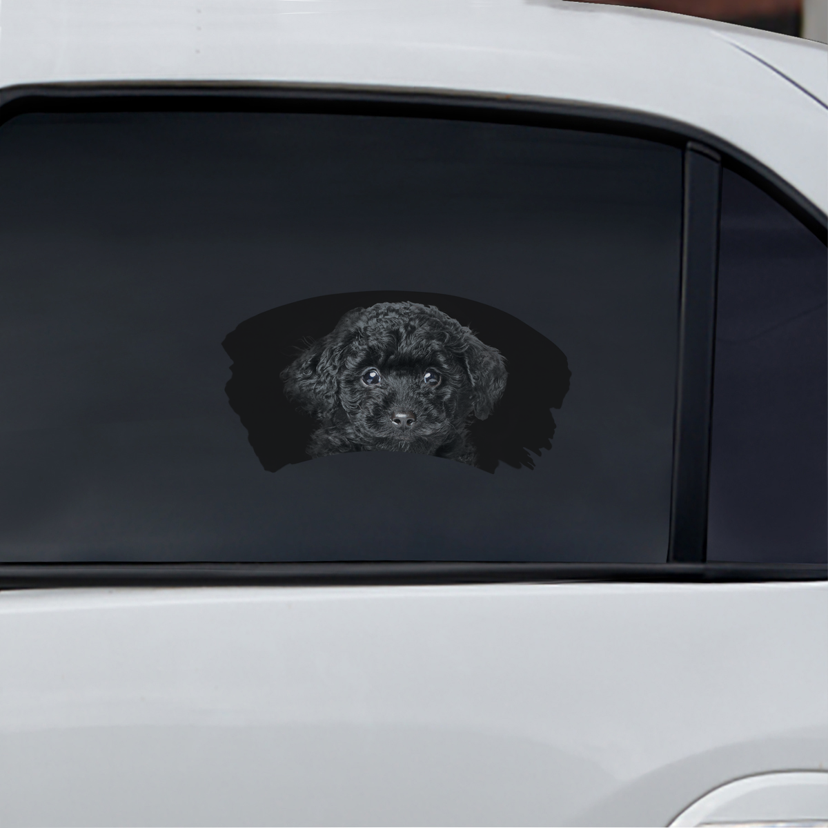 Misty Morning - Poodle Window Car Decal V4