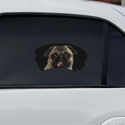 Misty Morning - Pug Window Car Decal V1