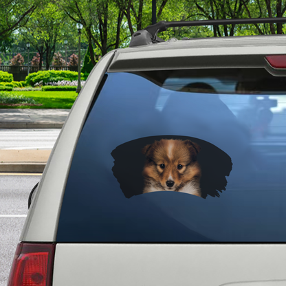 Misty Morning - Shetland Sheepdog Window Car Decal V1