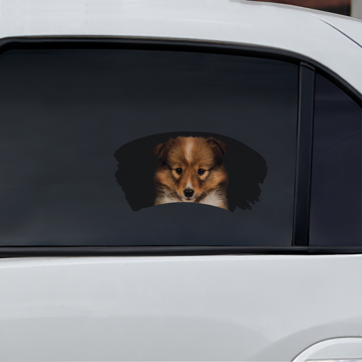 Misty Morning - Shetland Sheepdog Window Car Decal V1