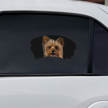 Misty Morning – Yorkshire Terrier Fenster-Autoaufkleber V1