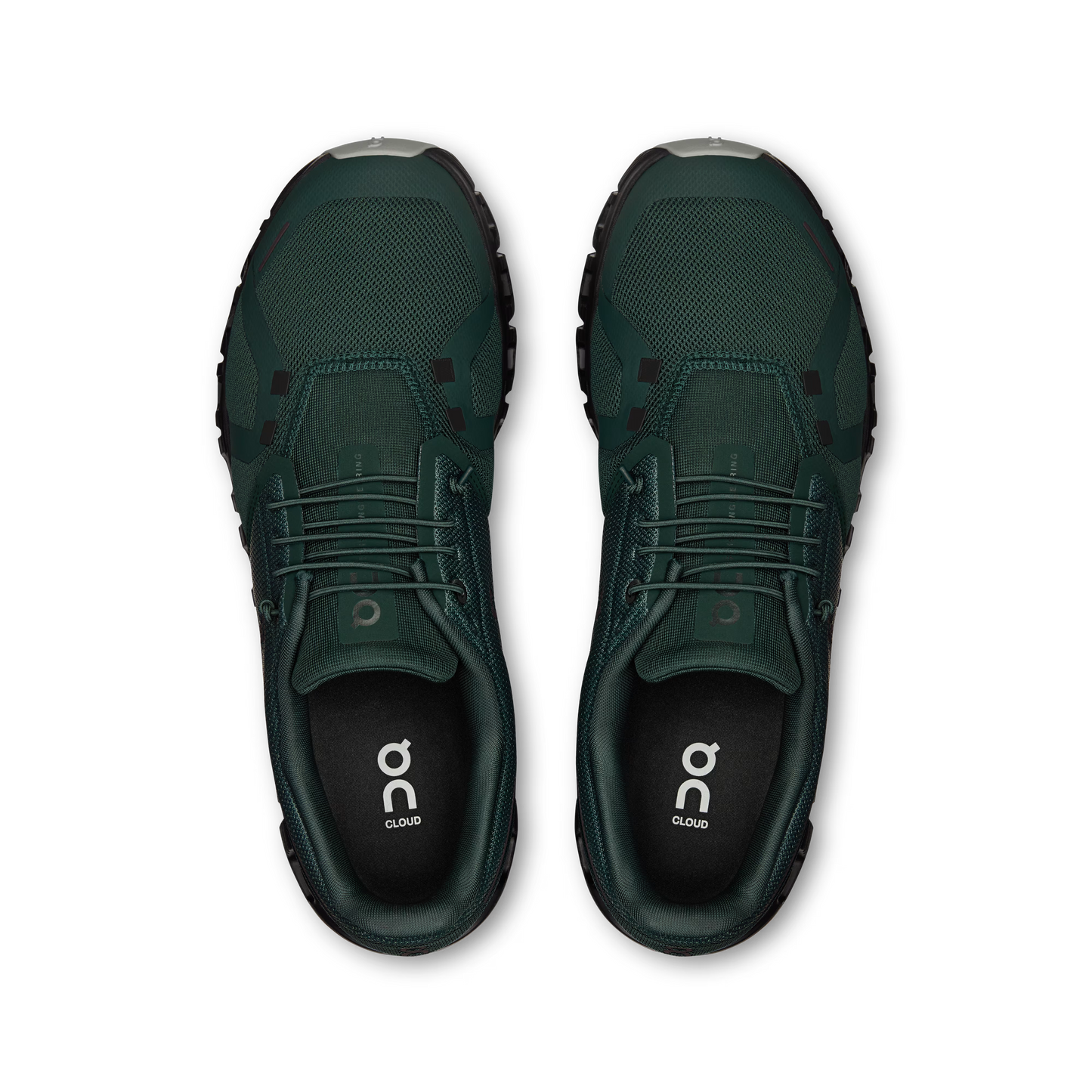 Evergreen | Glacier