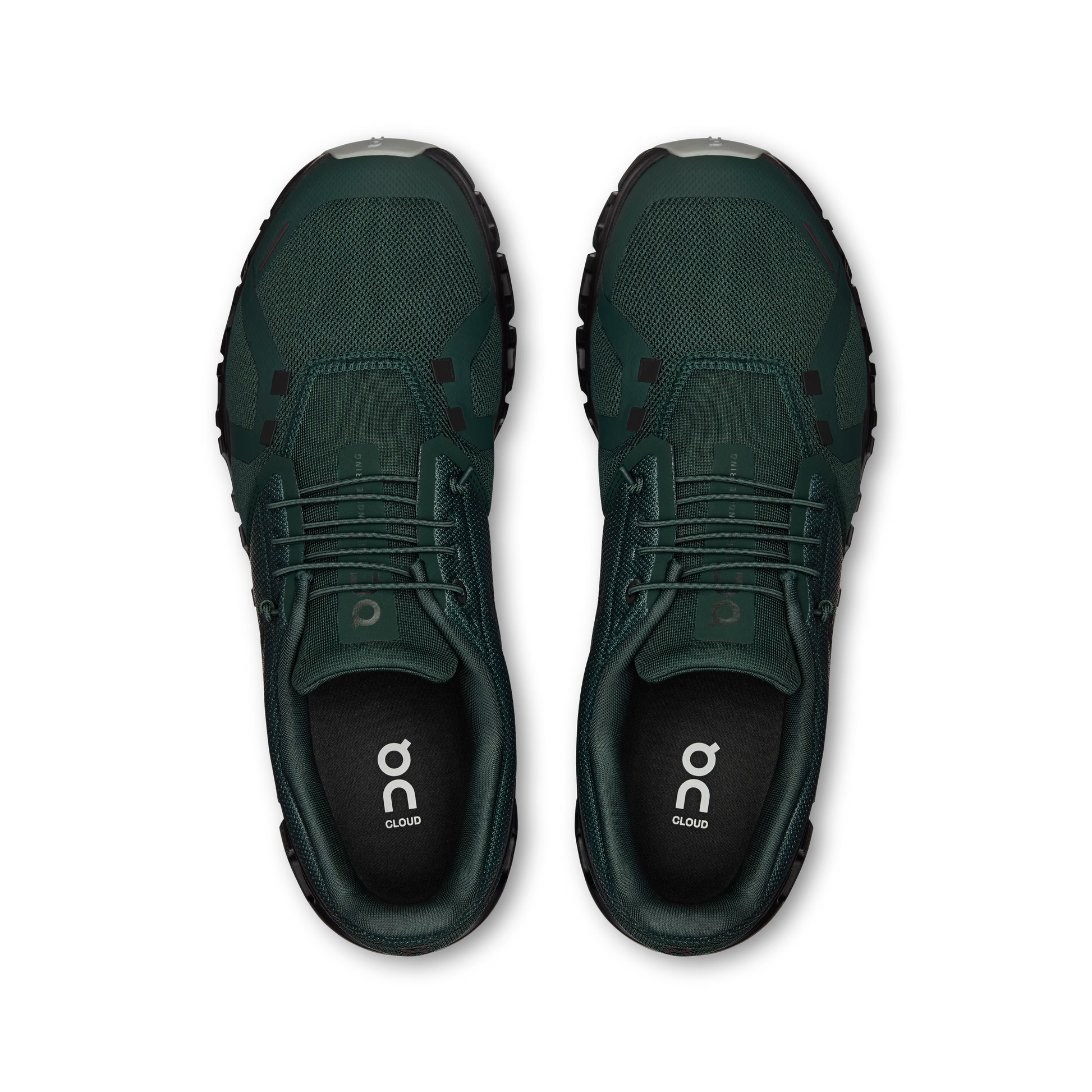 Evergreen | Glacier