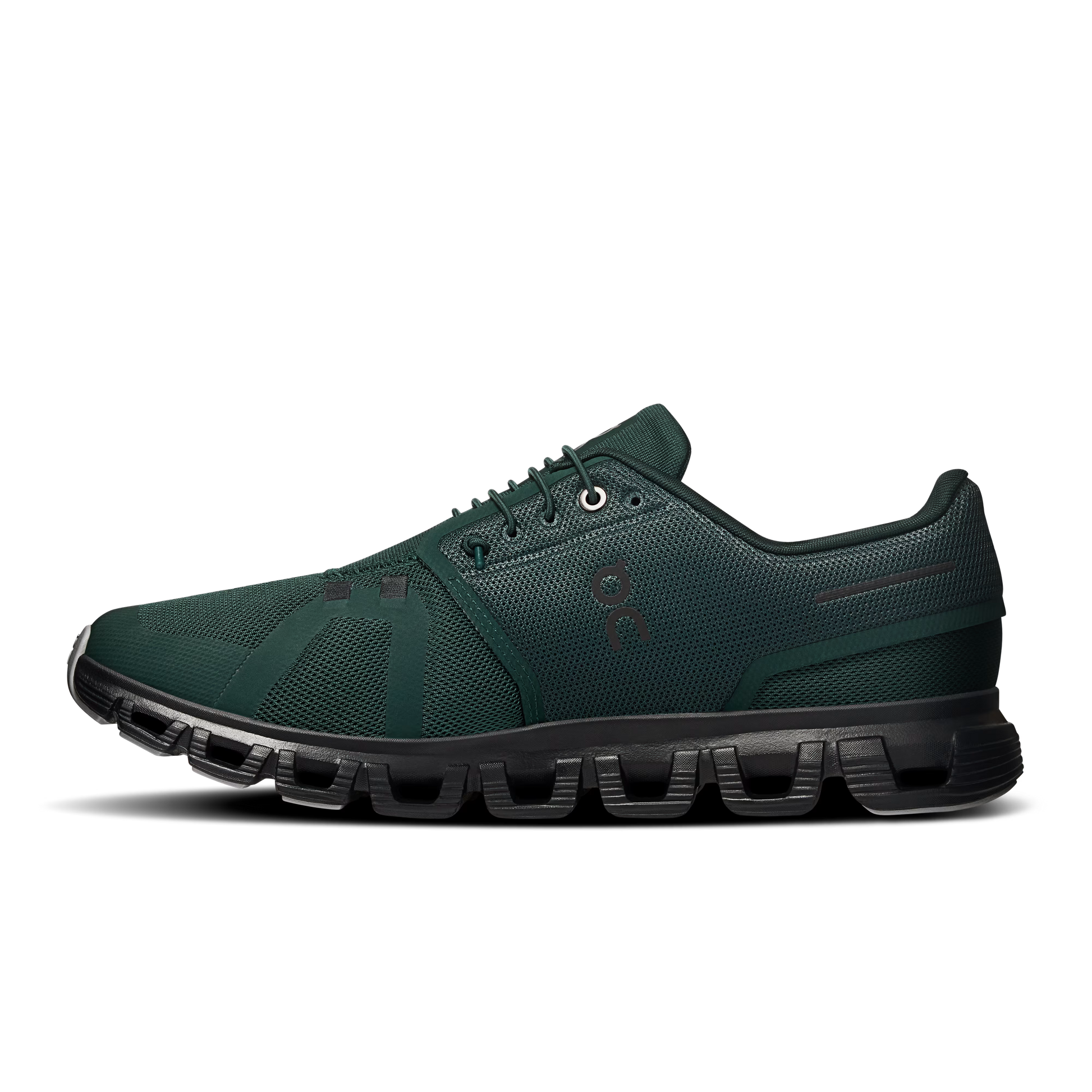 Evergreen | Glacier