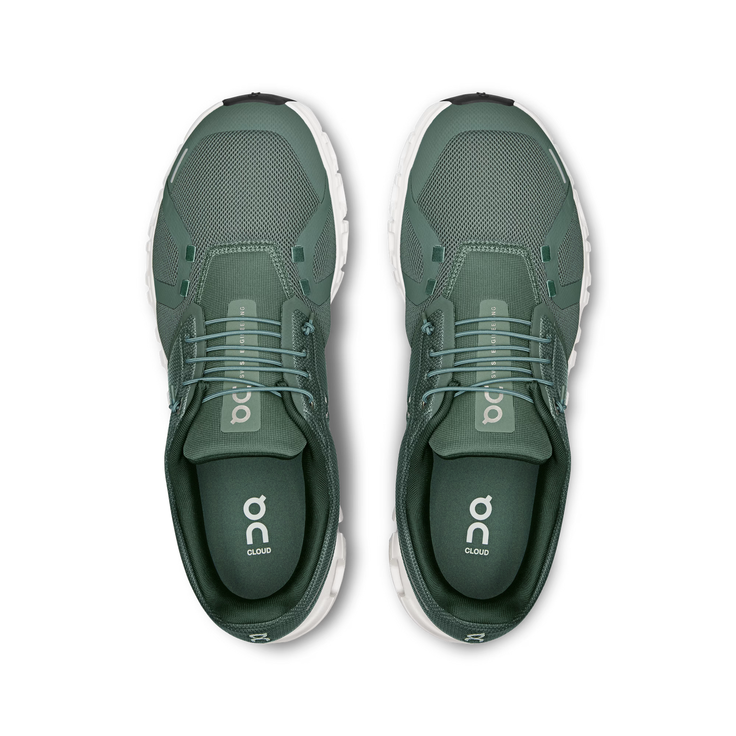 Olive | Evergreen