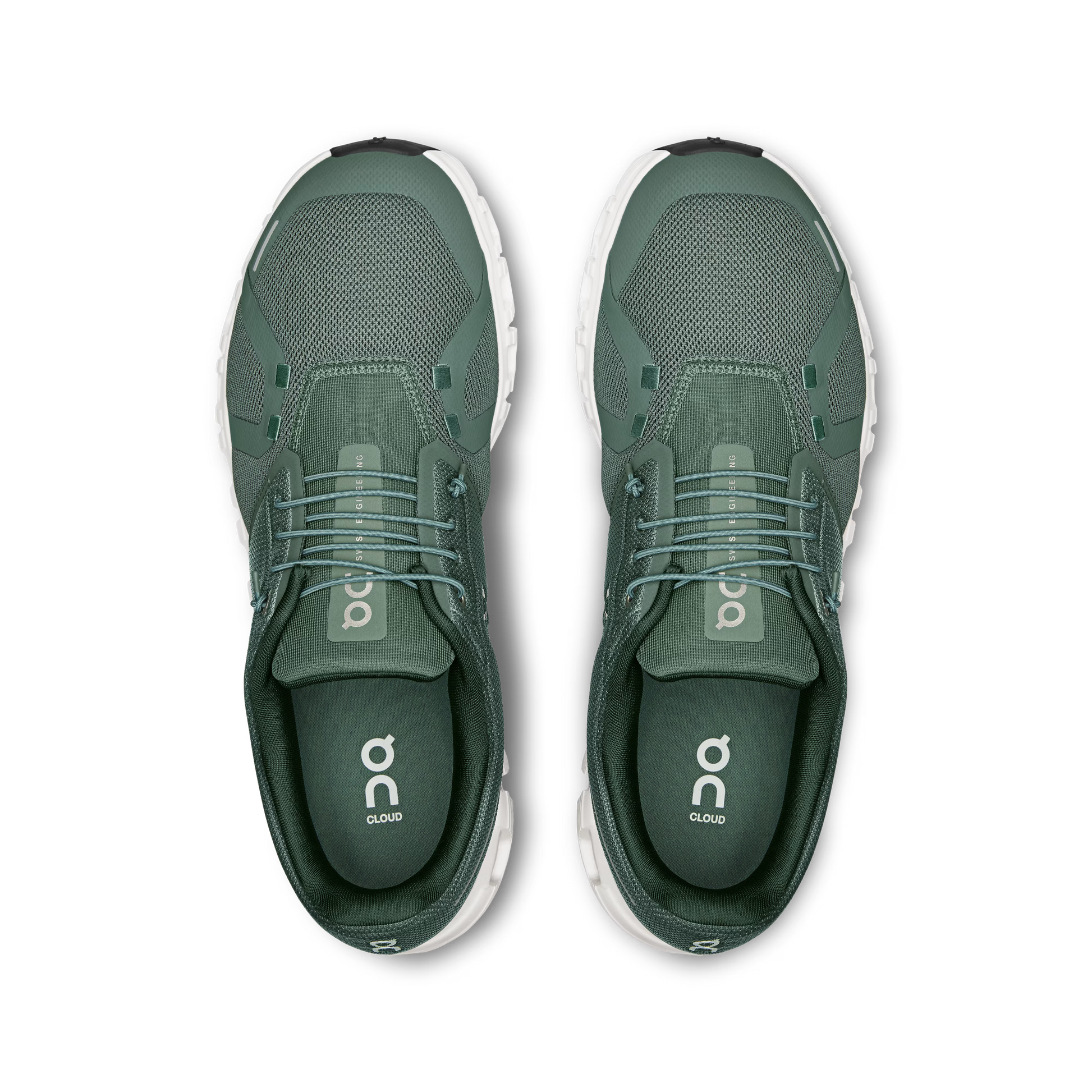 Olive | Evergreen