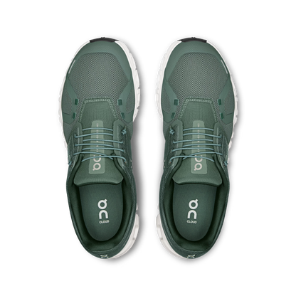 Olive | Evergreen
