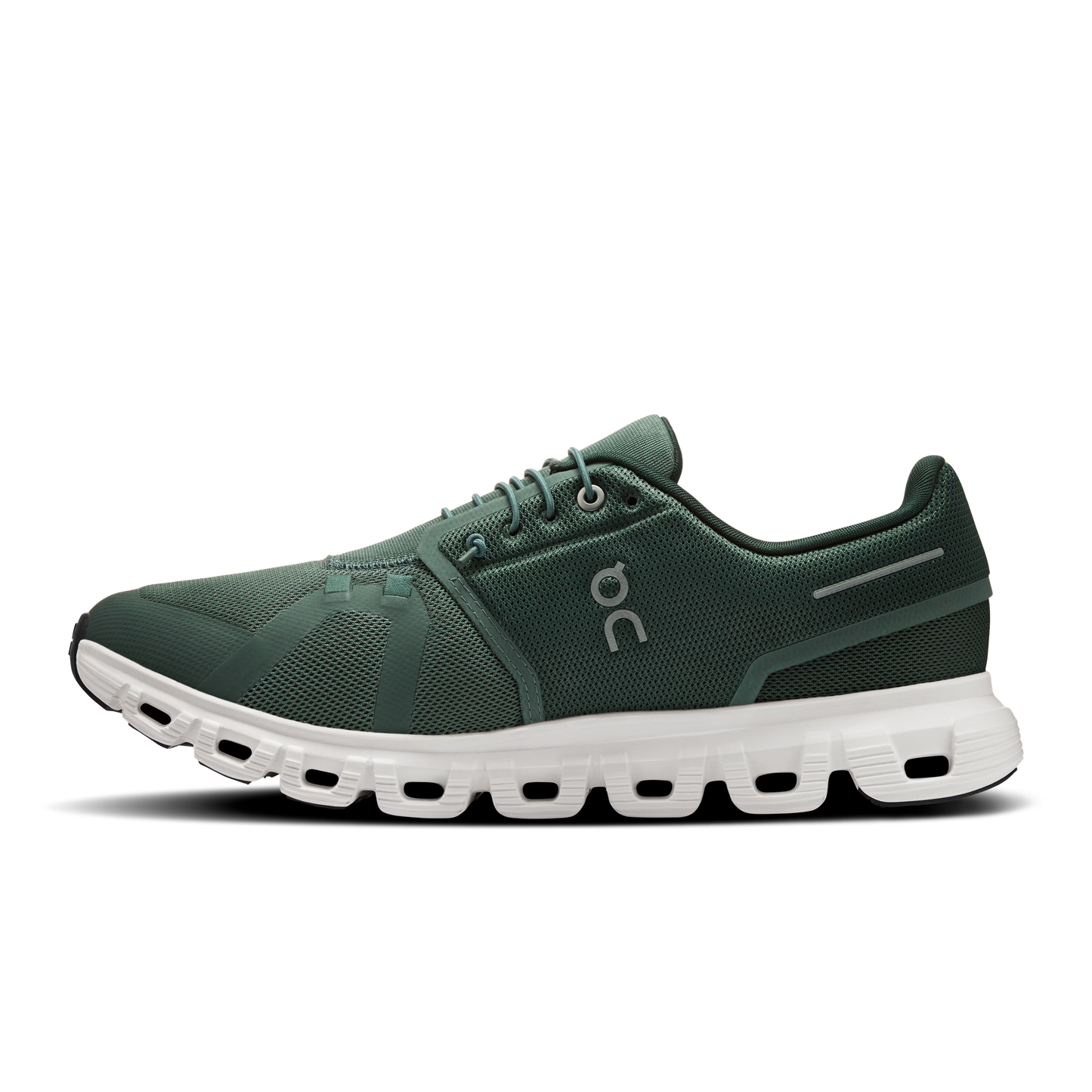 Olive | Evergreen