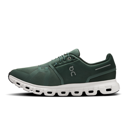 Olive | Evergreen