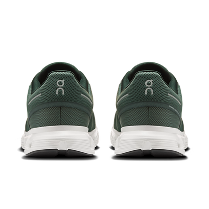 Olive | Evergreen