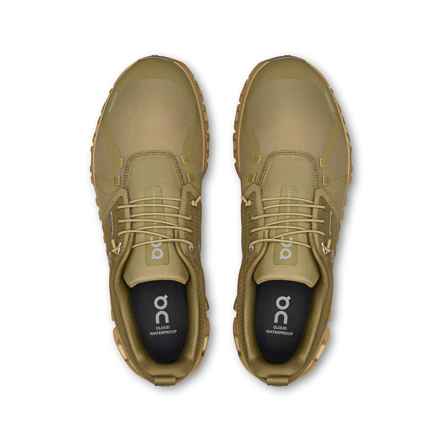 Olive | Safari