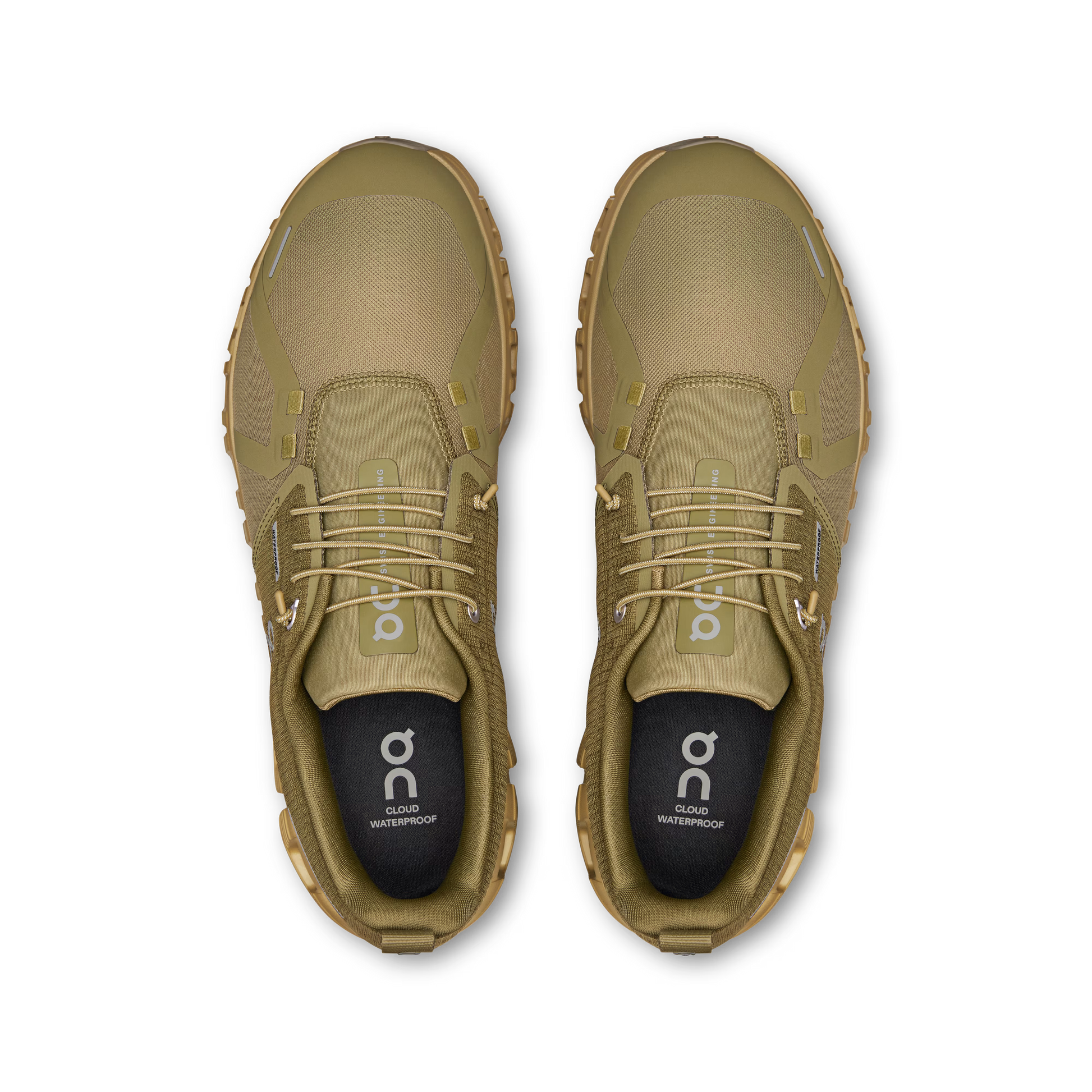 Olive | Safari
