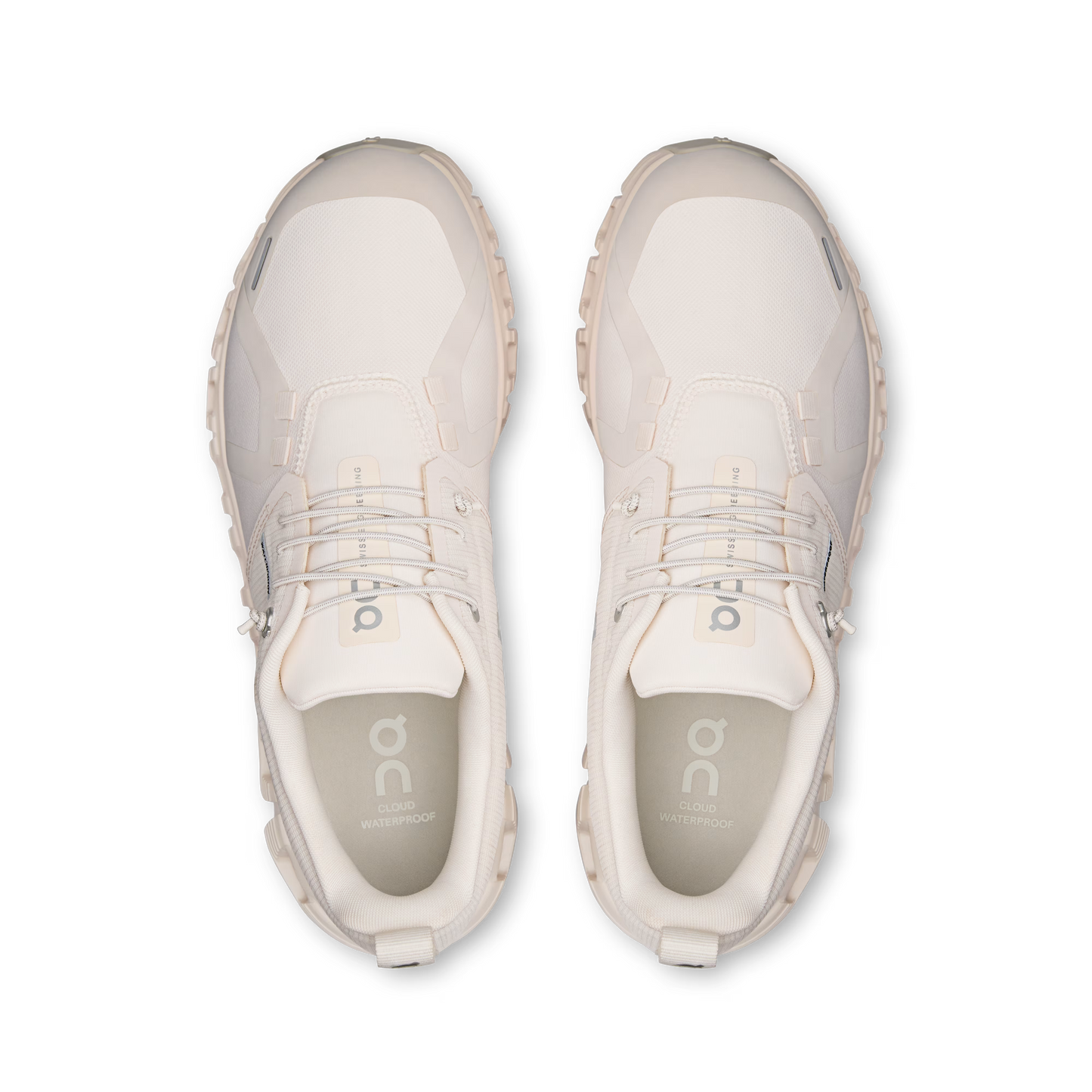 Seashell | Seashell