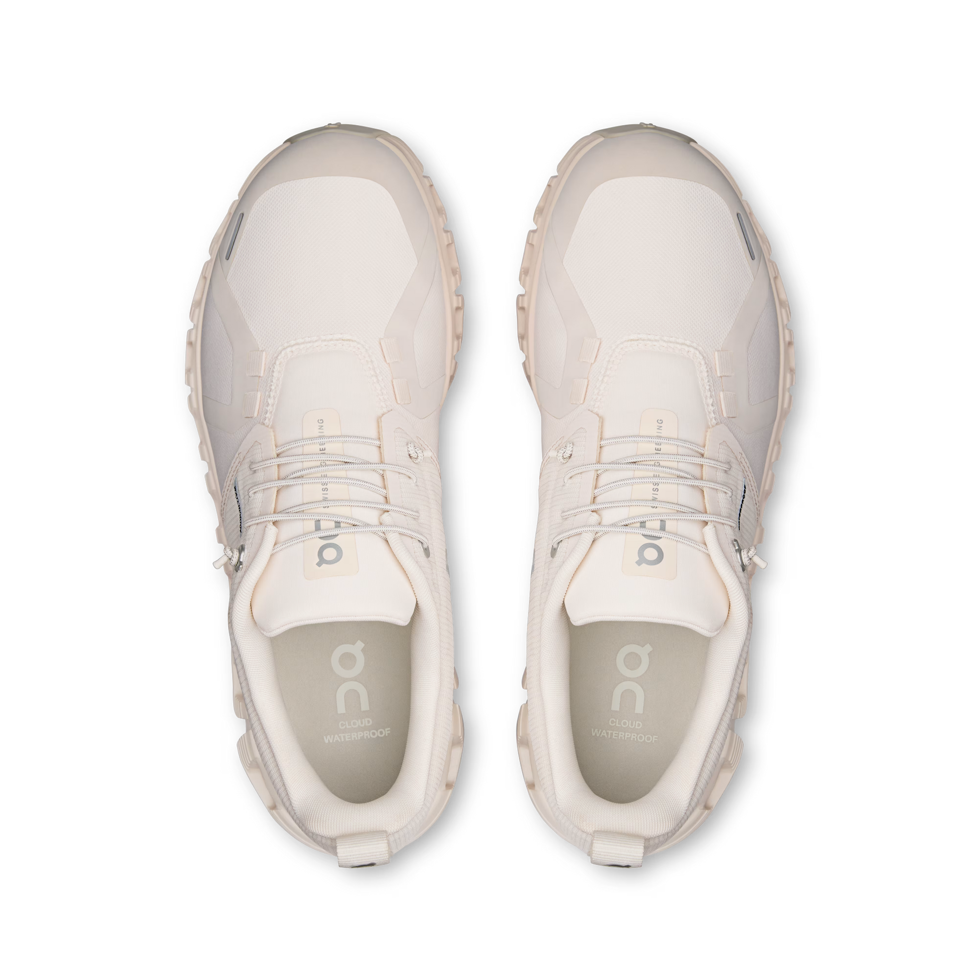 Seashell | Seashell