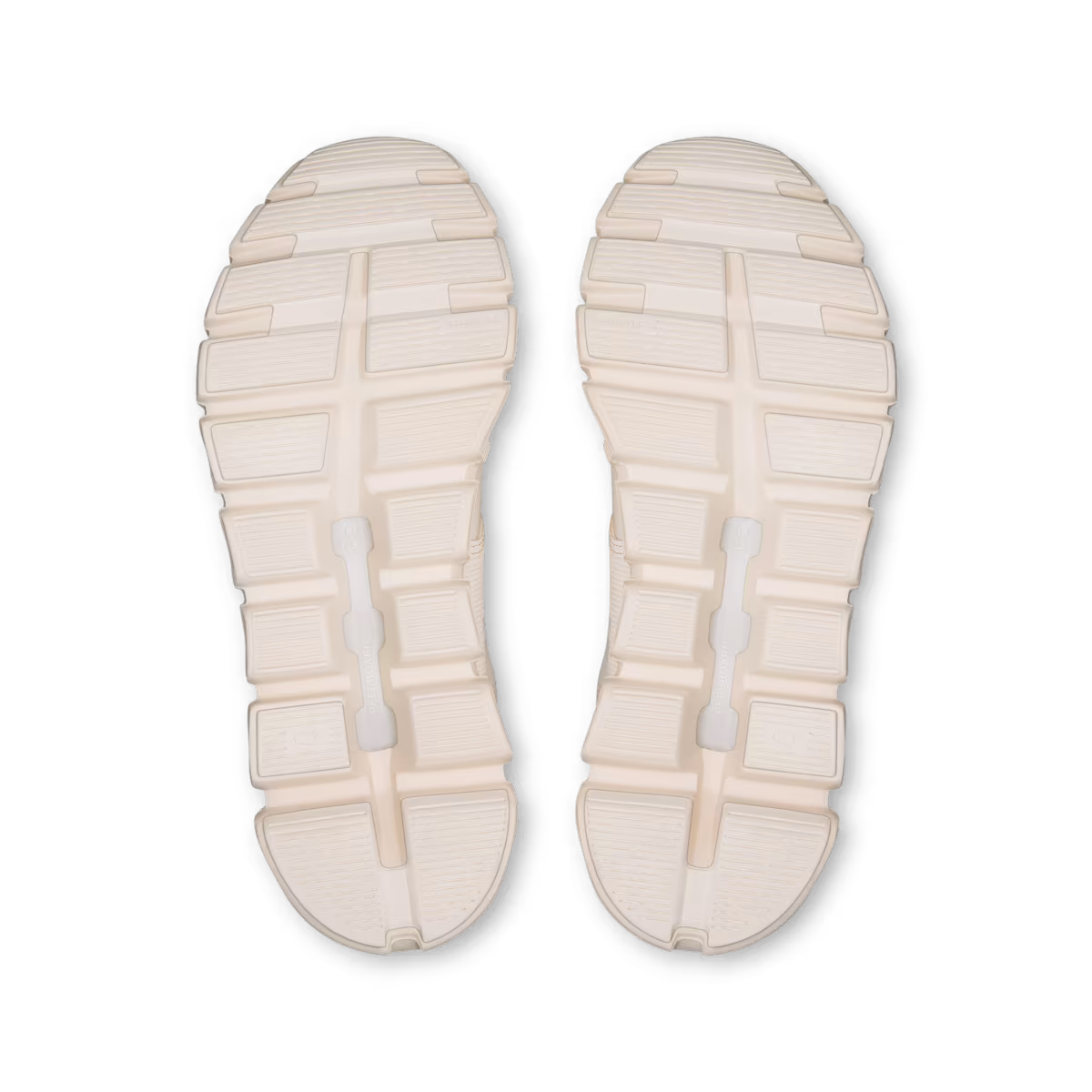 Seashell | Seashell