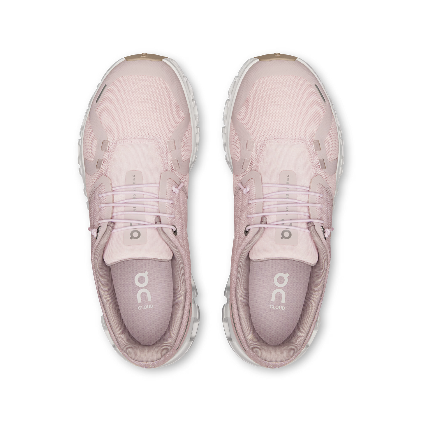 Orchid | Fade
