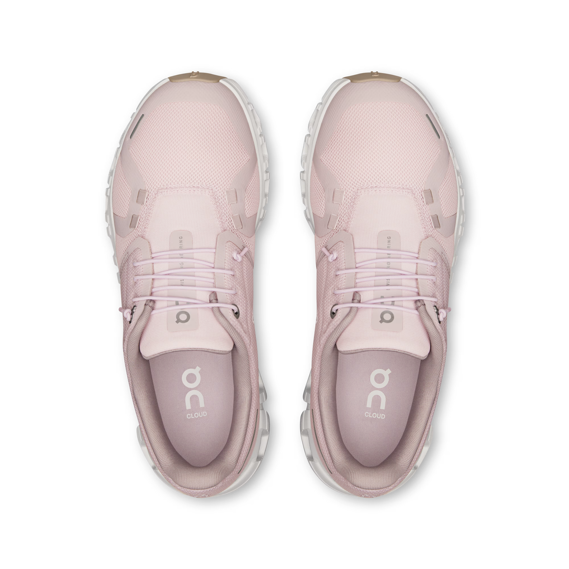 Orchid | Fade