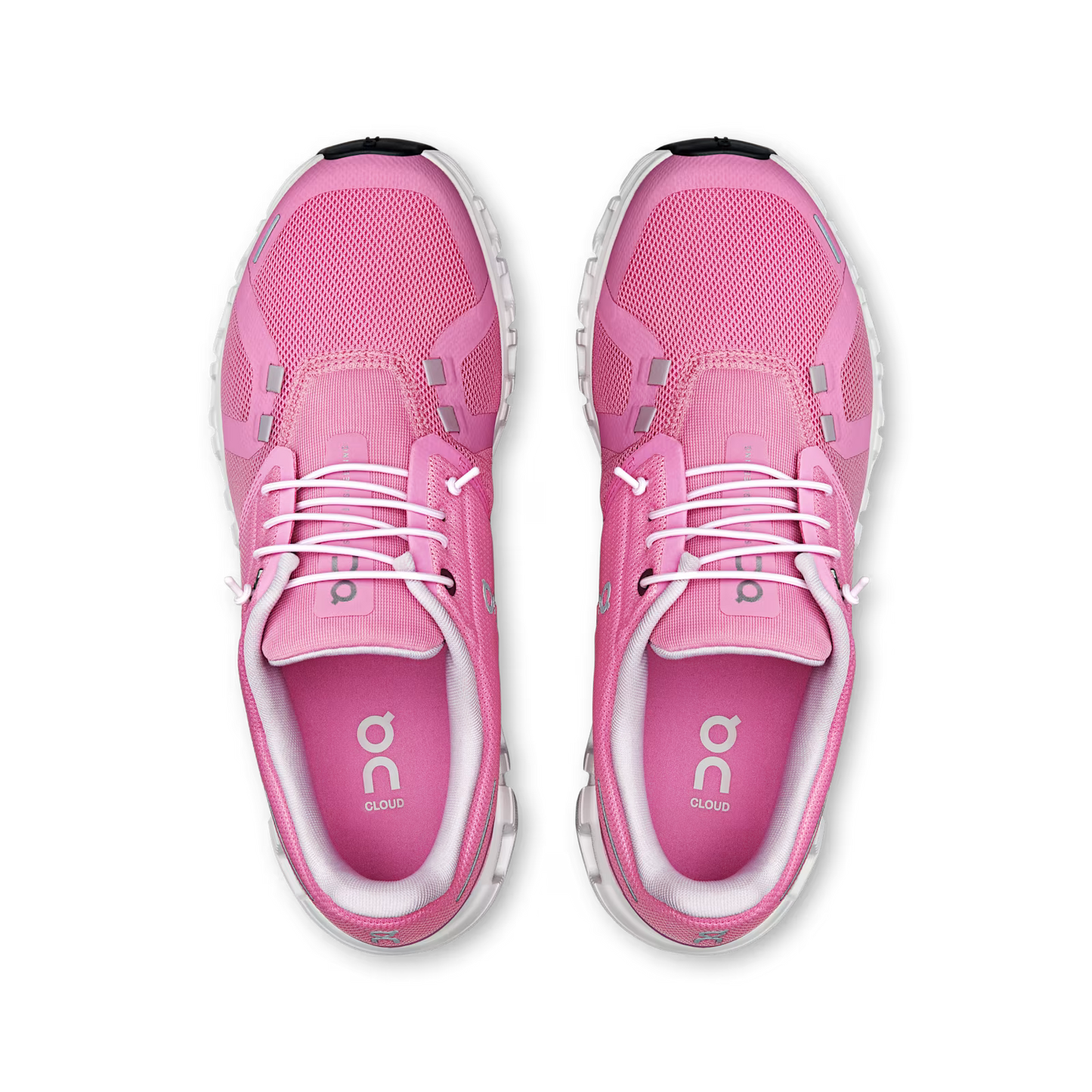Raspberry | White